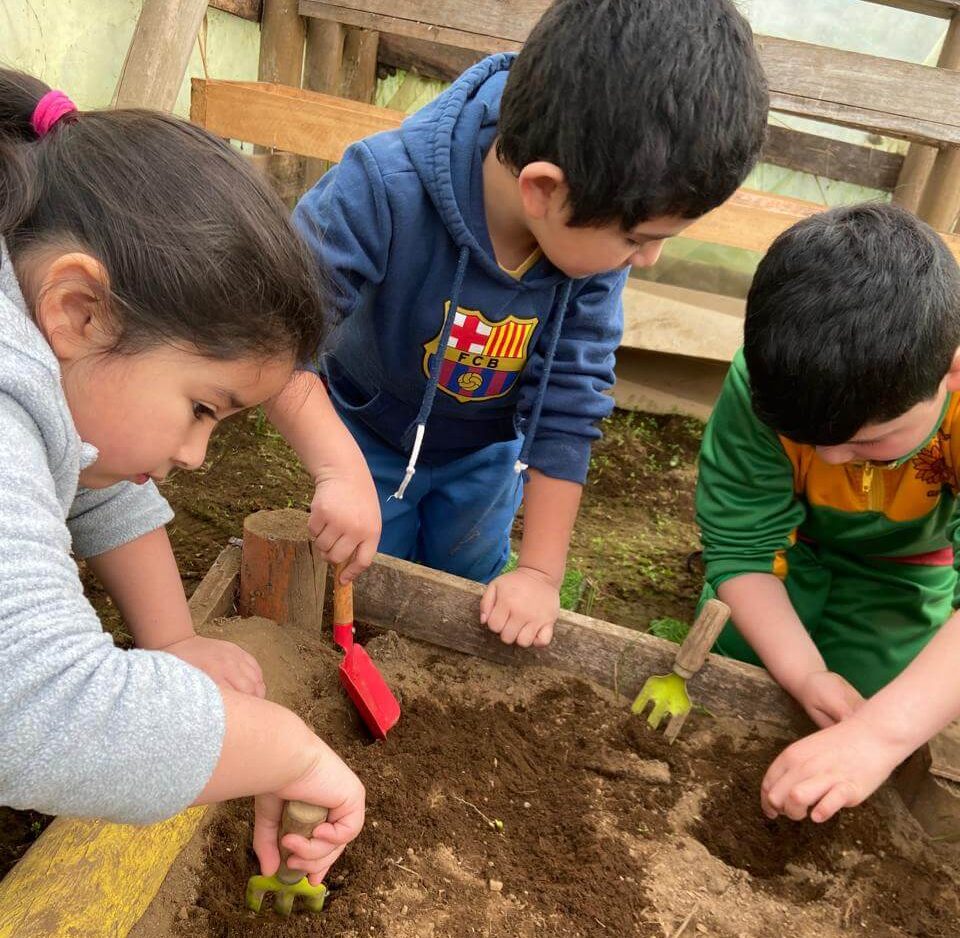 WhatsApp Image 2024-10-14 at 11.01.52 AM