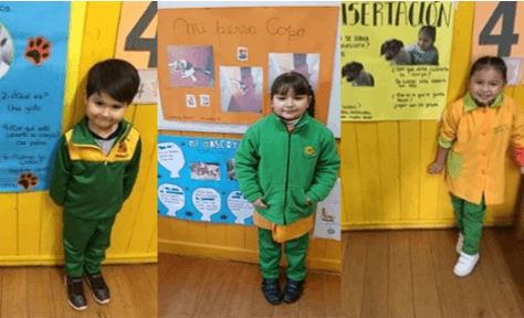 ardg24 opti ardg24 opti