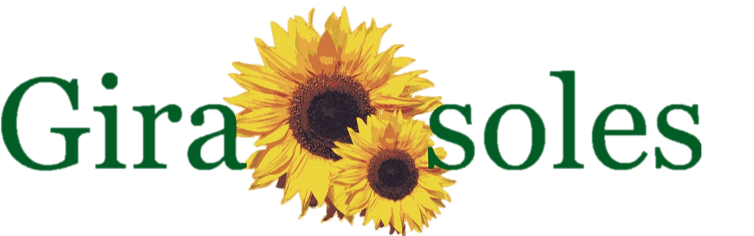 logo sin fondo girasoles llanquihue opti